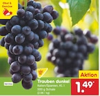 Trauben dunkel im Angebot bei Netto Marken-Discount in Potsdam Trauben dunkel Angebote von Markttag bei Netto Marken-Discount Potsdam für 1,49 €