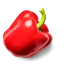 Aktuelles Span. Bio-Paprika, rot und gelb Angebot bei Kaufland in Bremen ab 1,99 €