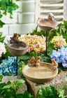 Aktuelle Vogelkäfig Angebote bei Penny in Chemnitz Aktuelles Vogeltränke Angebot bei Penny in Chemnitz ab 6,99 €