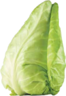 Kohl im V-Markt Prospekt Spitzkraut im aktuellen V-Markt Prospekt für 0,99 €