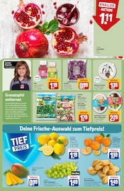 Ähnliche Kartoffel Wedges Angebote im Prospekt "Dein Markt" von REWE Ähnliches Angebot bei REWE in Prospekt "Dein Markt" gefunden auf Seite 8
