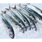 Maquereau - CARREFOUR dans le catalogue Carrefour