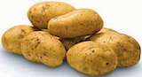 Aktuelle Kartoffeln Angebote bei Markant Nordwest in Osnabrück Aktuelles Bio Speisekartoffeln Angebot bei Markant Nordwest in Osnabrück ab 1,49 €