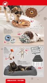 Aktueller Zookauf Prospekt mit Spielzeug, "GUT VERSORGT INS NEUE JAHR!", Seite 6