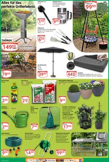 Blumentopf im GLOBUS Prospekt "Aktuelle Angebote" mit 29 Seiten (Jena)