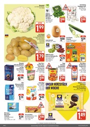 EDEKA Pilze im Prospekt 
