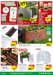 Blumenzwiebeln im Hagebaumarkt Prospekt in Stuttgart Aktueller Hagebaumarkt Prospekt mit Blumenzwiebeln, "So günstig geht das!", Seite 5