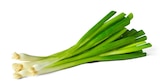 Penny Maxdorf - Deutsche Lauchzwiebeln Angebot im Prospekt Deutsche Lauchzwiebeln bei Penny im Maxdorf Prospekt für 0,49 €