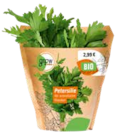 Bio-Kräuter Angebote von Grow by OBI bei OBI Remscheid für 2,99 €