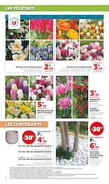 Offre Rosier dans le catalogue Super U du moment à la page 4