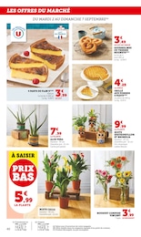 Offre Aménagement Extérieur dans le catalogue Super U du moment à la page 40