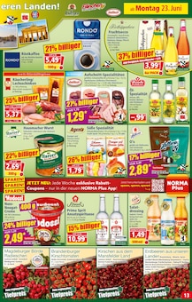 Nougat Angebot im aktuellen Norma Prospekt auf Seite 14