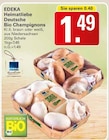 WEZ Hille Prospekt mit  im Angebot für 1,49 €