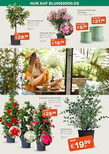 Blume 2000 Prospekt der KW 19 "GARTENZAUBER" Aktueller Blume 2000 Prospekt "GARTENZAUBER" Seite 2 von 6 Seiten