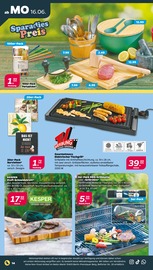 Fernseher im Netto mit dem Scottie Prospekt in Delitzsch Aktueller Netto mit dem Scottie Prospekt mit Fernseher, "Günstig. Besser. Für Dich.", Seite 19