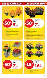 Chrysanthèmes en promo dans le catalogue Hyper U à la page 39