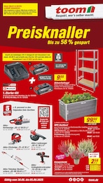 Aktueller toom Baumarkt BaumĂ€rkte Prospekt fĂŒr Dresden 30.08.2025 - 05.09.2025 toom Baumarkt Prospekt fĂŒr Dresden mit 12 Seiten