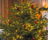 LED-Weihnachtsbaumlichterkette im Rossmann Prospekt LED-Weihnachtsbaumlichterkette im aktuellen Rossmann Prospekt für 12,99 €