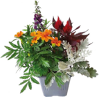 Globus-Baumarkt Peine Prospekt mit  im Angebot für 3,99 €