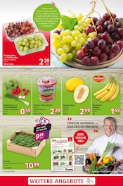 Garten Angebot im aktuellen Selgros Prospekt auf Seite 3