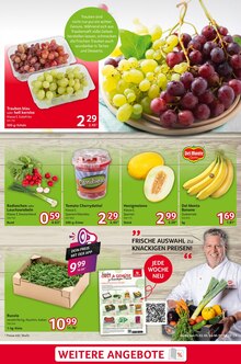 Kresse im Selgros Prospekt "cash & carry" mit 32 Seiten (Mannheim)