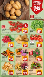Schnittblumen Angebot & Preis im aktuellen REWE Prospekt Schnittblumen Angebot im aktuellen REWE Prospekt auf Seite 9