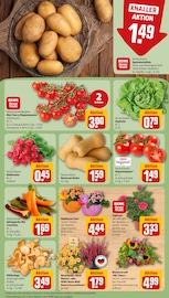 Chrysanthemen Angebote im Prospekt "Dein Markt" von REWE auf Seite 9