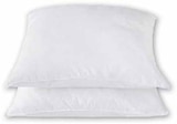 Lot de 2 oreillers 60x60cm - Super U à Chartres Lot de 2 oreillers 60x60cm en promo chez Super U Chartres à 6,99 €