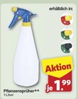 Pflanzensprüher im aktuellen famila Nordwest Prospekt