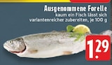 Ausgenommene Forelle im Angebot bei E center in Duisburg Ausgenommene Forelle Angebote bei E center Duisburg für 1,29 €