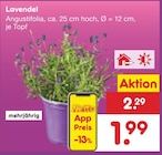 Lavendel im Angebot bei Netto Marken-Discount in Herne Lavendel Angebote bei Netto Marken-Discount Herne für 1,99 €