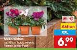 Alpenveilchen im Angebot bei Netto Marken-Discount in Saarlouis Alpenveilchen Angebote bei Netto Marken-Discount Saarlouis für 6,99 €