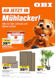 OBI Prospekt für Pforzheim: "BIBERSTARKE ANGEBOTE", 16 Seiten, 03.01.2026 - 31.01.2026