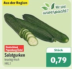 Angebot im aktiv & irma Wardenburg Prospekt aktiv & irma Wardenburg Prospekt mit im Angebot für 0,79 €