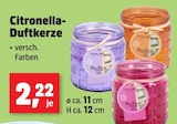 Citronella-Duftkerze bei Thomas Philipps im Prospekt "" für 2,22 €