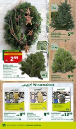 Pflanzen Kölle Frostschutz im Prospekt 