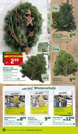 Frostschutz Angebote im Prospekt "Ich mach's mir schön!" von Pflanzen Kölle auf Seite 4