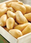 Pomme de terre de consommation - INTERMARCHÉ TERROIRS en promo chez Intermarché Hyper Quimper à 1,99 €