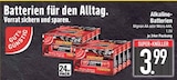 Mignon AA oder Micro AAA im Angebot bei E center in Rosenheim Mignon AA oder Micro AAA Angebote von GUT & GÜNSTIG bei E center Rosenheim für 3,99 €