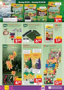Palme im Netto Marken-Discount Prospekt "Aktuelle Angebote" mit 73 Seiten (Dresden)