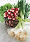 LEGUMES BOTTES - Intermarché à Mérignac LEGUMES BOTTES en promo chez Intermarché Mérignac à 2,00 €