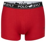 Retroshorts von Polo Sylt im aktuellen Penny Prospekt