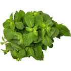 Menthe en promo chez Carrefour Market Menthe dans le catalogue Carrefour Market
