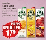 Sanfte Säfte bei V-Markt im Heimertingen Prospekt für 1,79 €