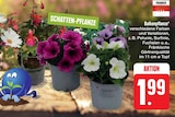 E center Zeil (Main) Prospekt mit  im Angebot für 1,99 €