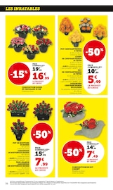Chrysanthèmes Angebote im Prospekt "Super U" von Super U Chrysanthèmes Angebote im Prospekt "Super U" von Super U auf Seite 36