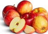 Aktuelle Äpfel Angebote bei Penny in Cottbus Aktuelles rote Äpfel Angebot bei Penny in Cottbus ab 1,29 €