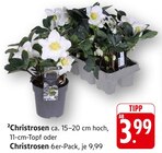 Christrosen Angebote bei E center Fellbach für 3,99 €