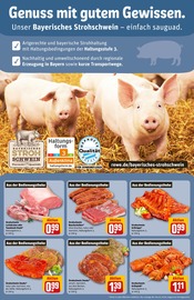 Ähnliche Angebote wie Rinderbraten im Prospekt "Dein Markt" auf Seite 10 von REWE in Augsburg