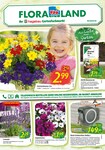 Garten Garten